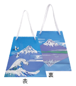 富士山4C